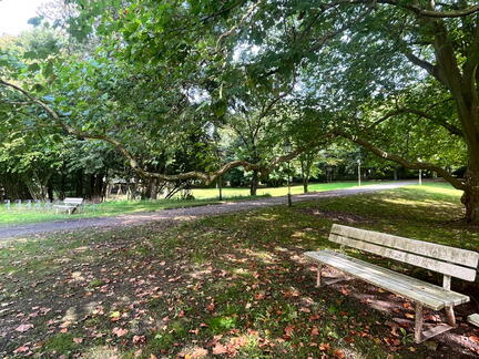 23-09-17 13-06-26 7007